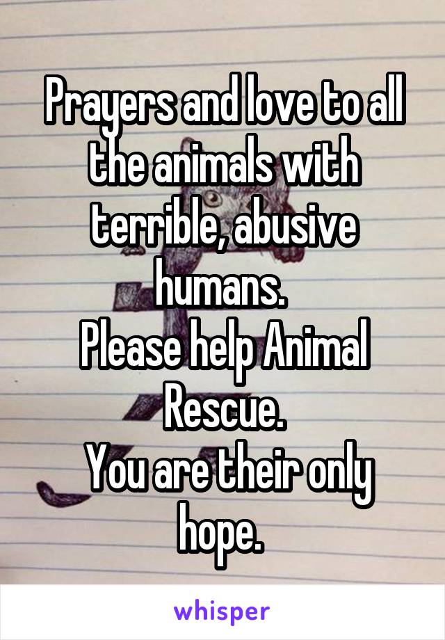 Prayers and love to all the animals with terrible, abusive humans. 
Please help Animal Rescue.
 You are their only hope. 