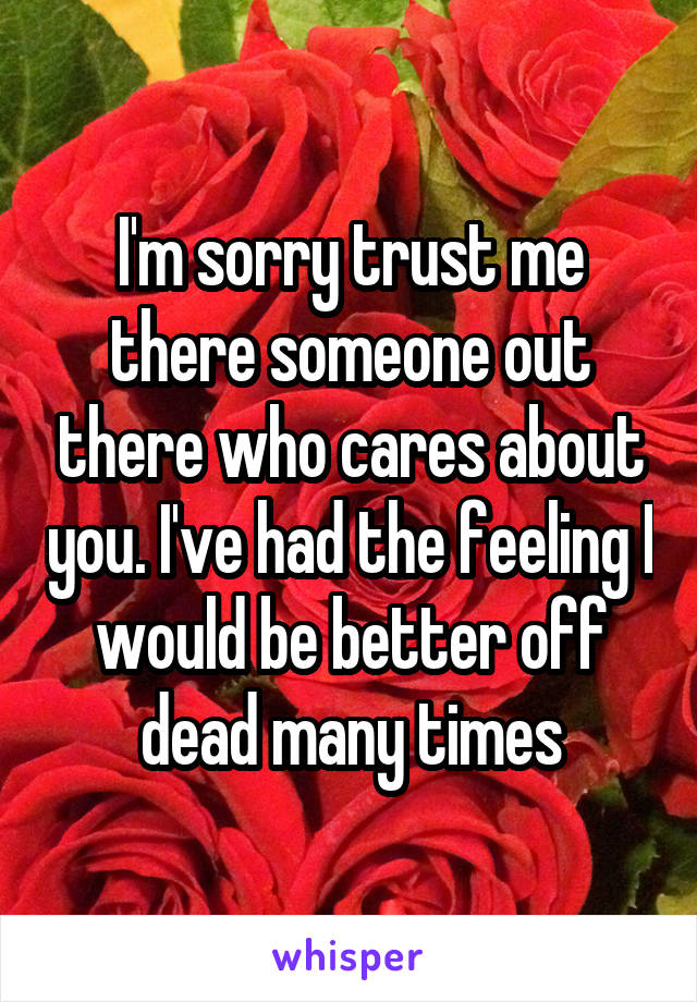 I'm sorry trust me there someone out there who cares about you. I've had the feeling I would be better off dead many times