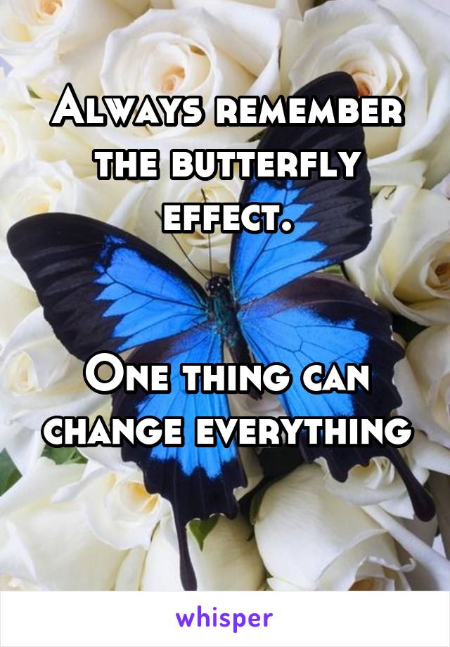 Always remember the butterfly effect.


One thing can change everything

