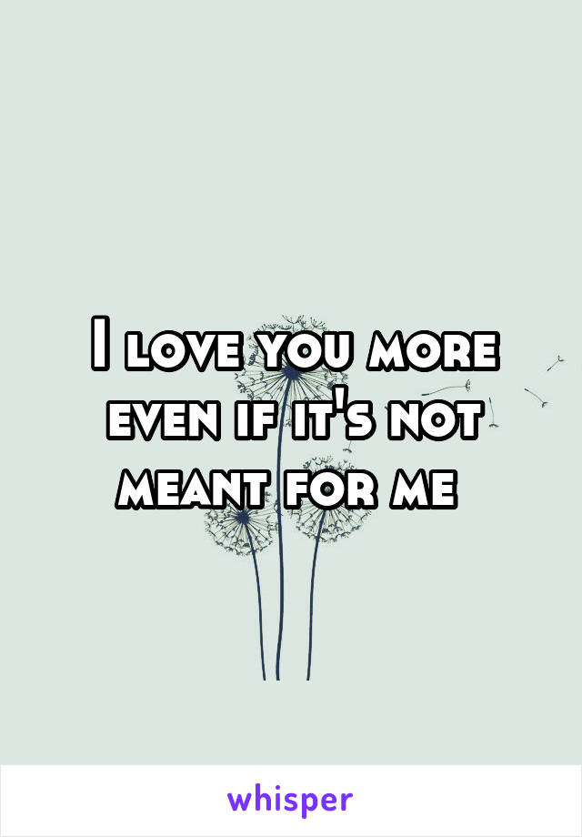 I love you more even if it's not meant for me 