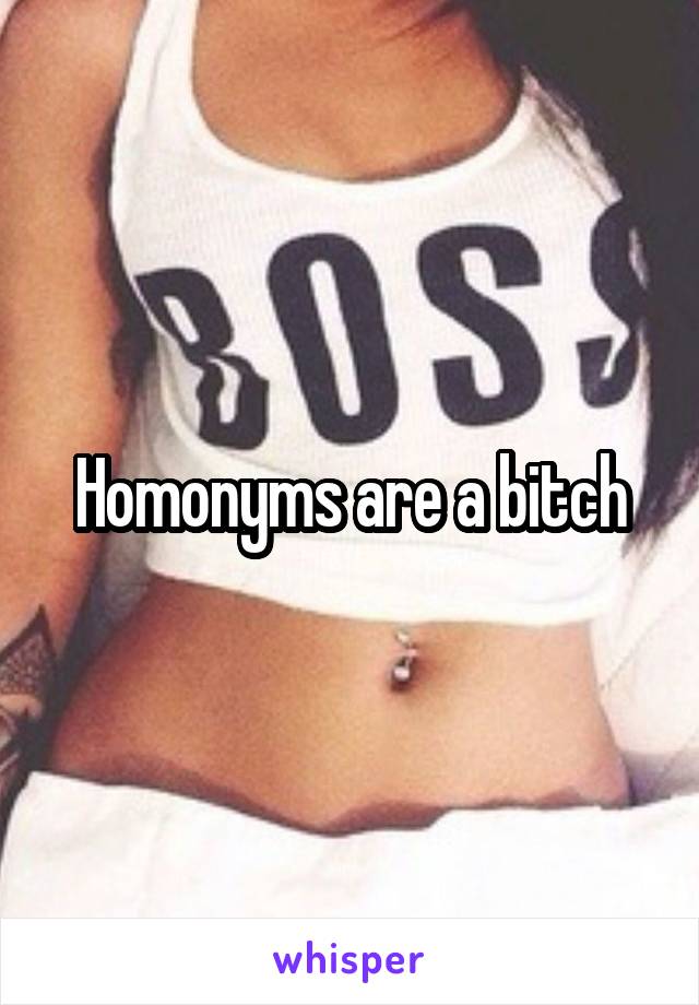 Homonyms are a bitch