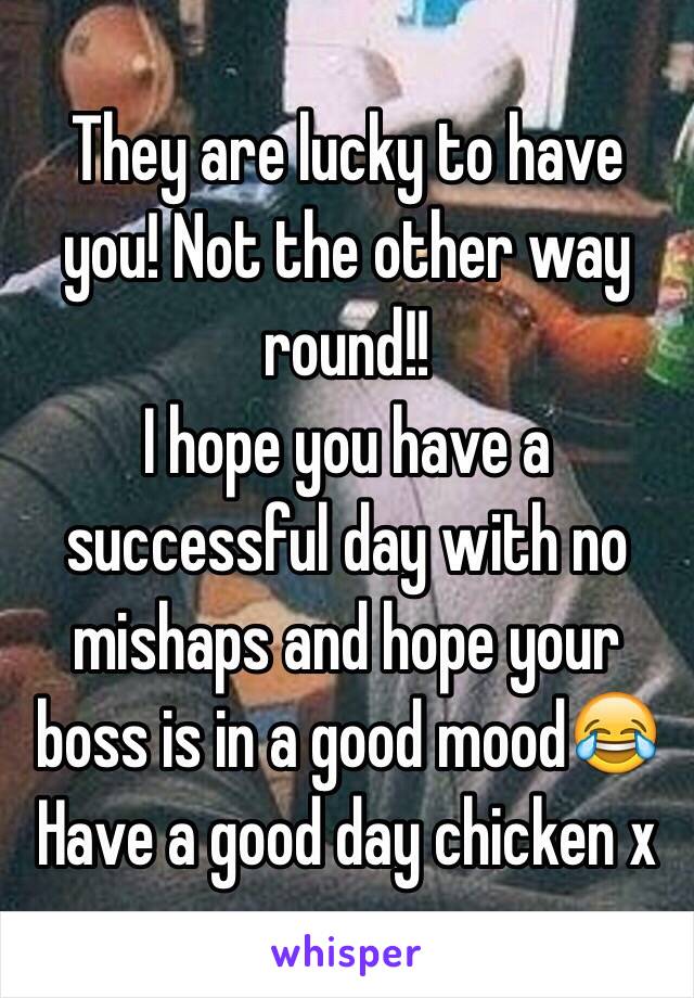 They are lucky to have you! Not the other way round!!
I hope you have a successful day with no mishaps and hope your boss is in a good mood😂
Have a good day chicken x