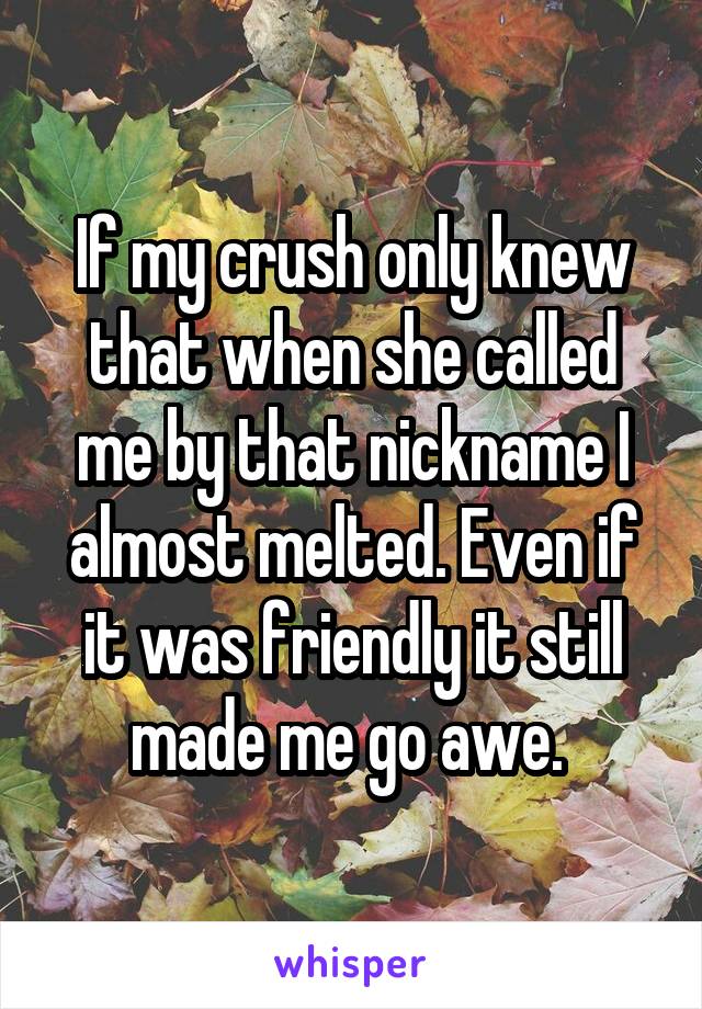 If my crush only knew that when she called me by that nickname I almost melted. Even if it was friendly it still made me go awe. 