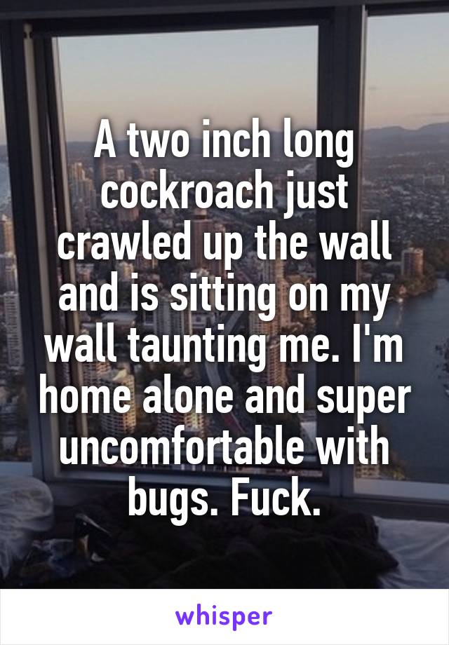 A two inch long cockroach just crawled up the wall and is sitting on my wall taunting me. I'm home alone and super uncomfortable with bugs. Fuck.