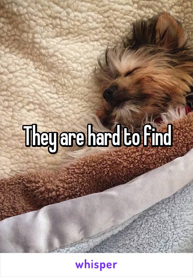 They are hard to find