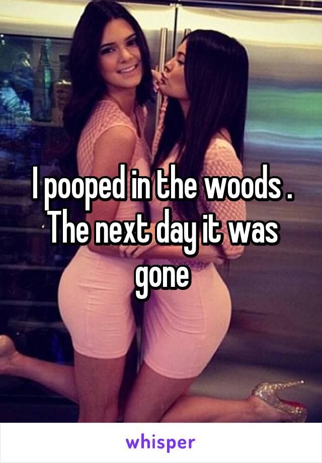 I pooped in the woods . The next day it was gone