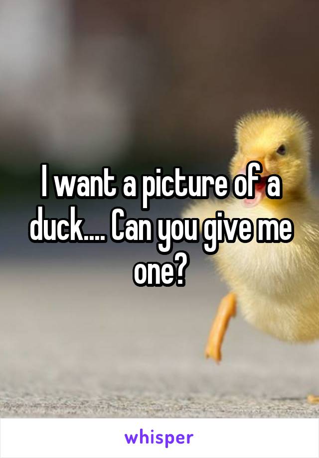 I want a picture of a duck.... Can you give me one?