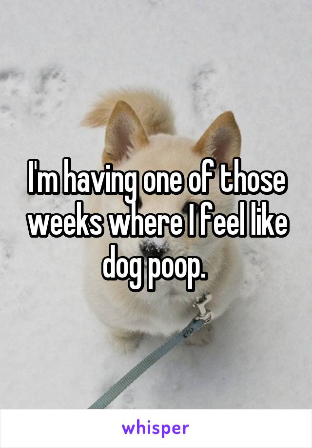 I'm having one of those weeks where I feel like dog poop. 