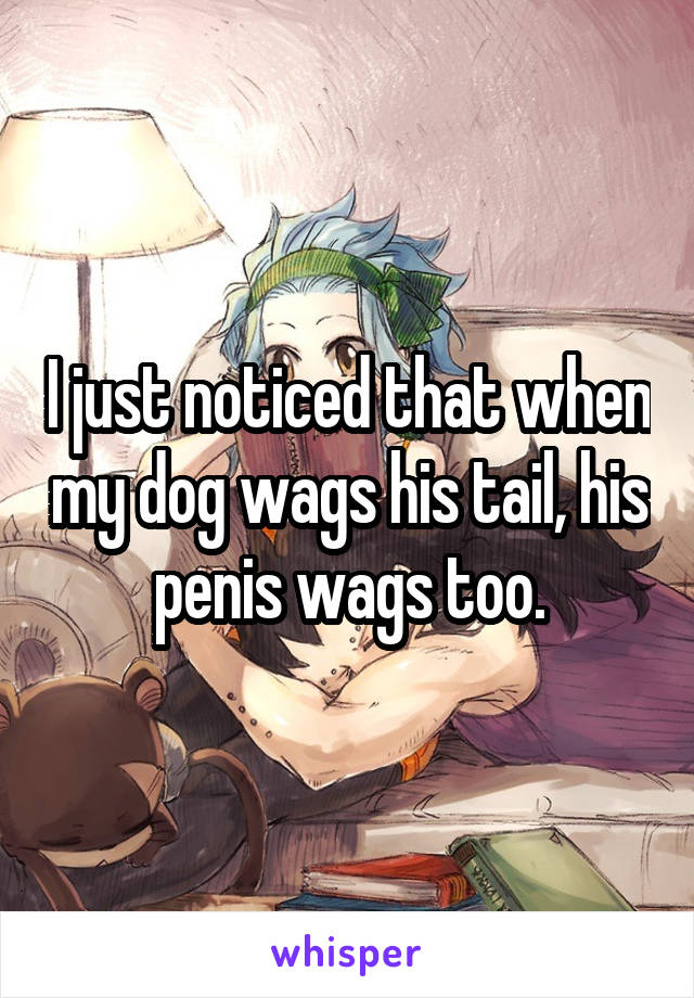 I just noticed that when my dog wags his tail, his penis wags too.