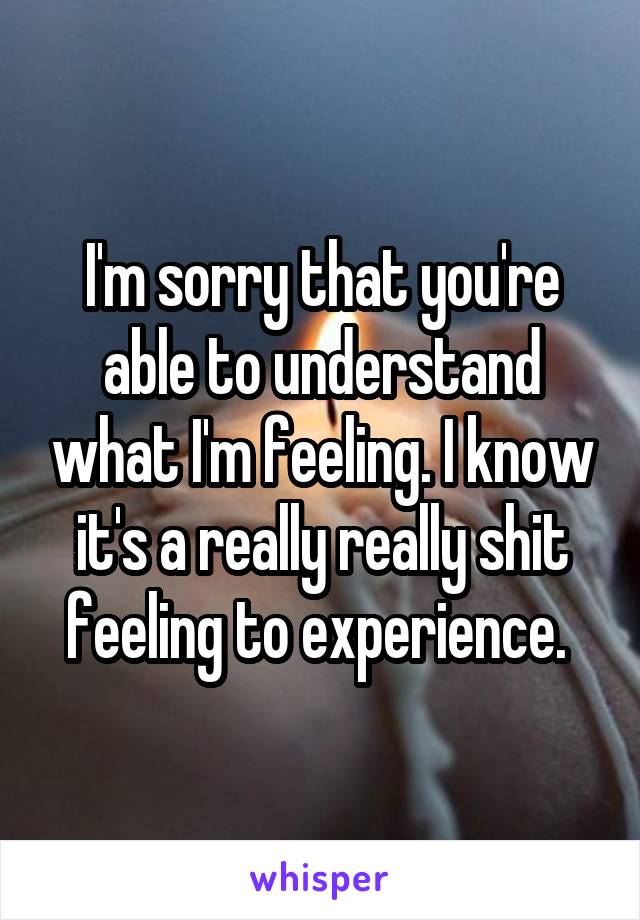 I'm sorry that you're able to understand what I'm feeling. I know it's a really really shit feeling to experience. 