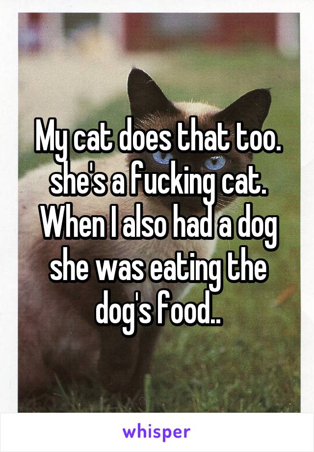 My cat does that too.
she's a fucking cat. When I also had a dog she was eating the dog's food..