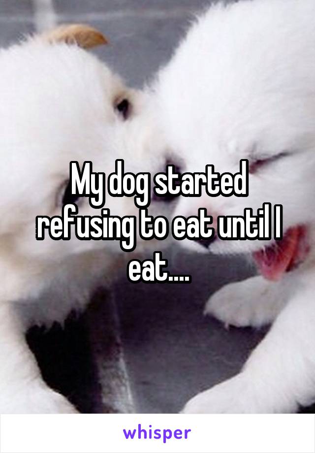 My dog started refusing to eat until I eat....