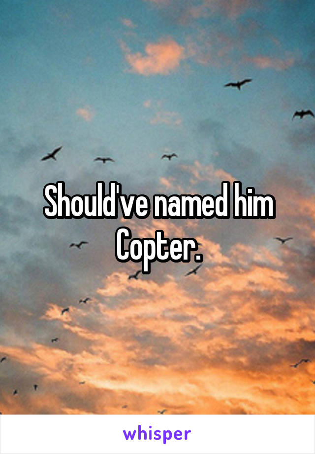 Should've named him Copter.