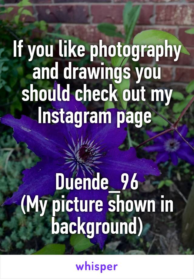 If you like photography and drawings you should check out my Instagram page 


Duende_96
(My picture shown in background)