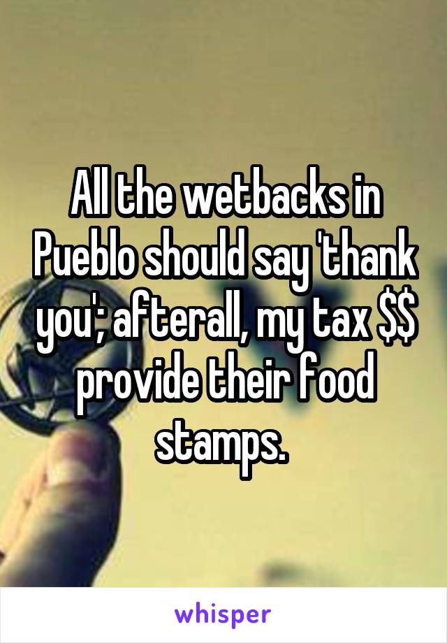 All the wetbacks in Pueblo should say 'thank you'; afterall, my tax $$ provide their food stamps. 