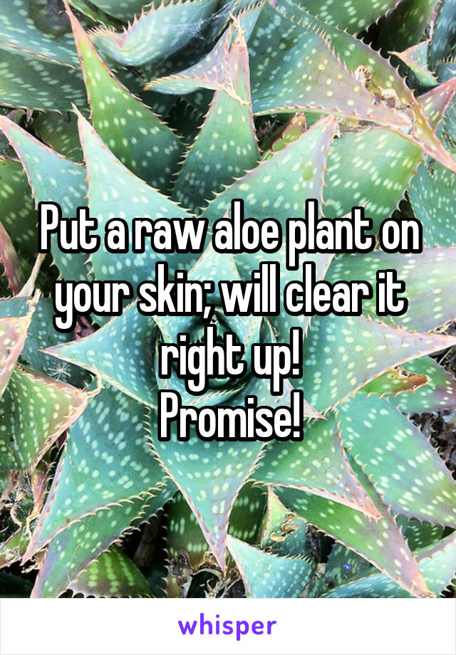 Put a raw aloe plant on your skin; will clear it right up!
Promise!