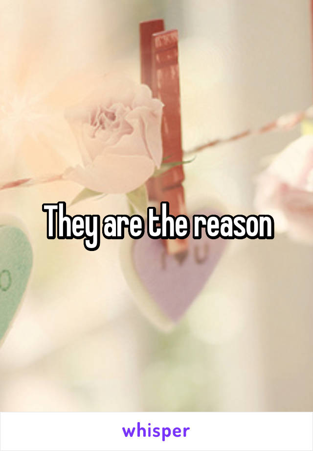 They are the reason