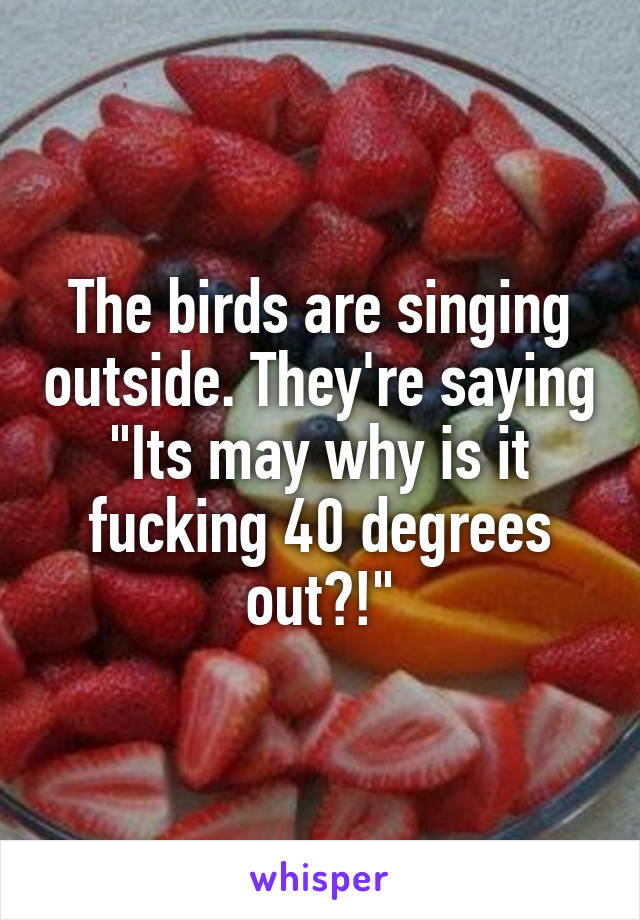 The birds are singing outside. They're saying "Its may why is it fucking 40 degrees out?!"