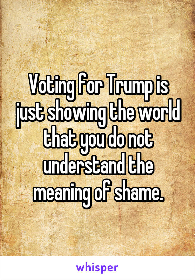 Voting for Trump is just showing the world that you do not understand the meaning of shame.