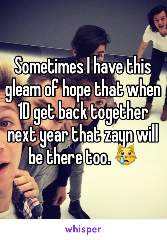 Sometimes I have this gleam of hope that when 1D get back together next year that zayn will be there too. 😿