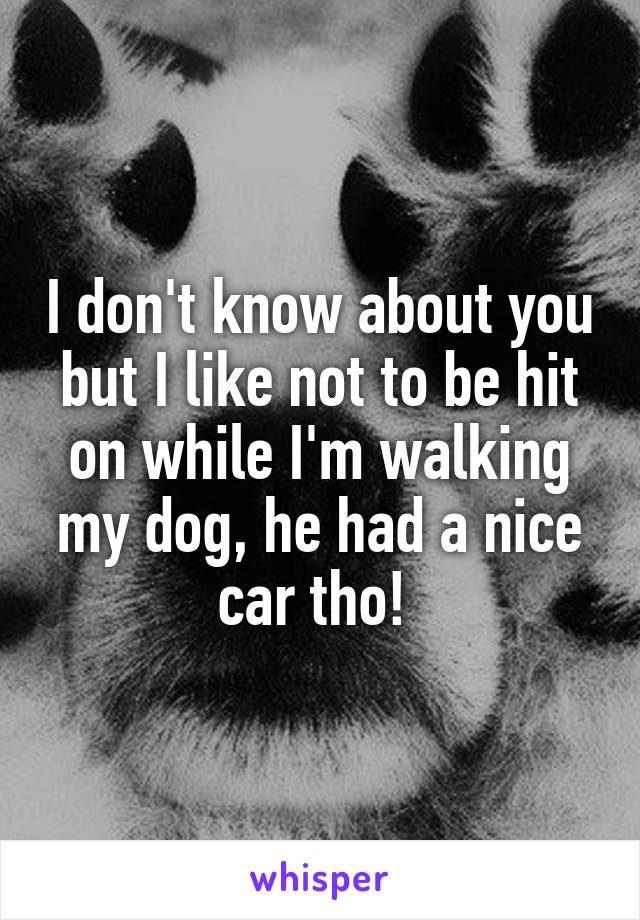 I don't know about you but I like not to be hit on while I'm walking my dog, he had a nice car tho! 