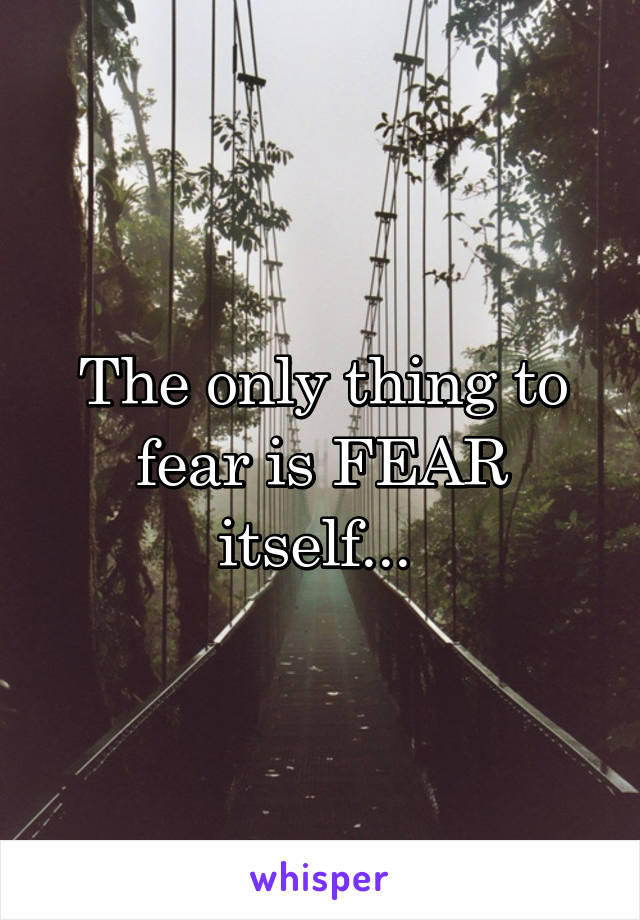 The only thing to fear is FEAR itself... 