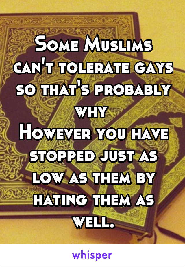 Some Muslims can't tolerate gays so that's probably why 
However you have stopped just as low as them by hating them as well.