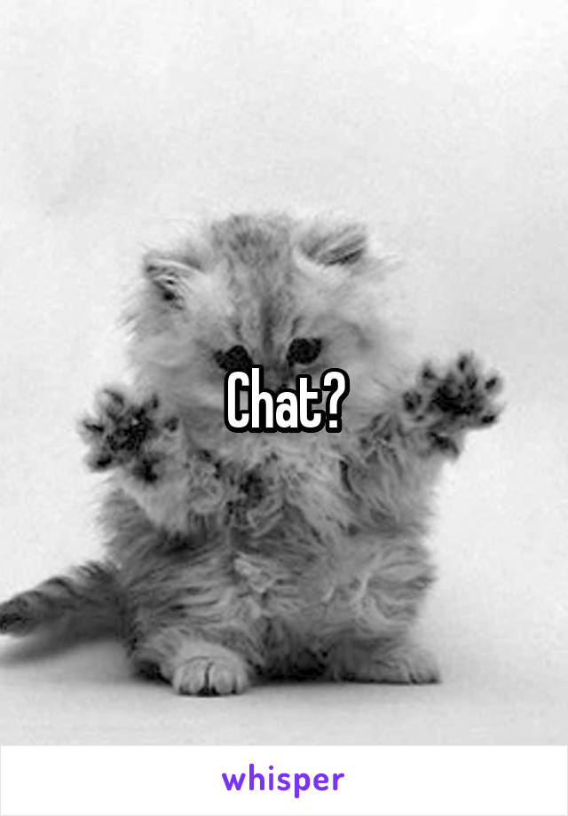 Chat?