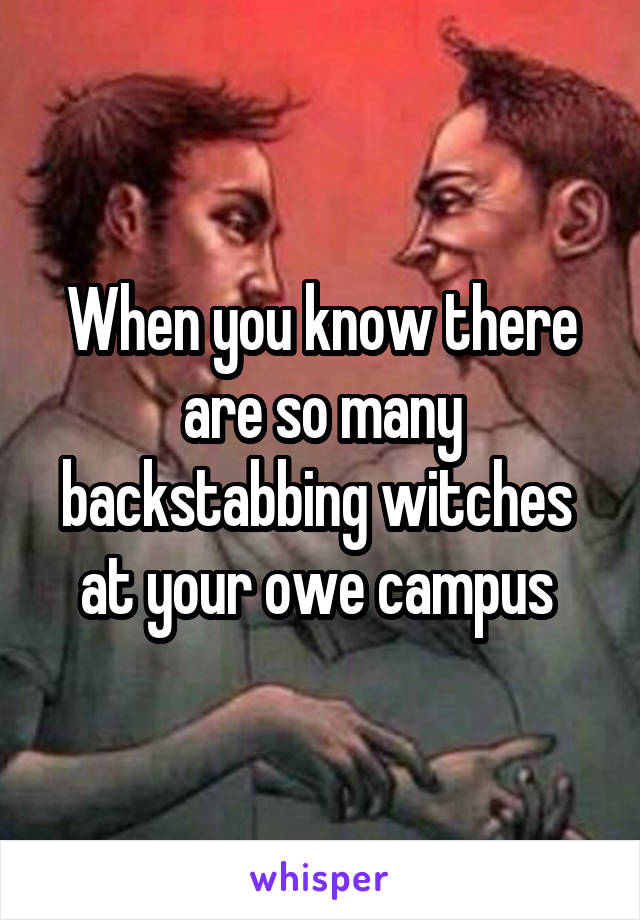 When you know there are so many backstabbing witches  at your owe campus 