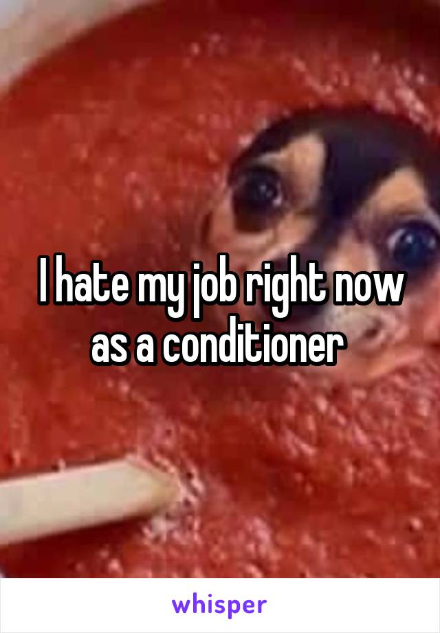 I hate my job right now as a conditioner 