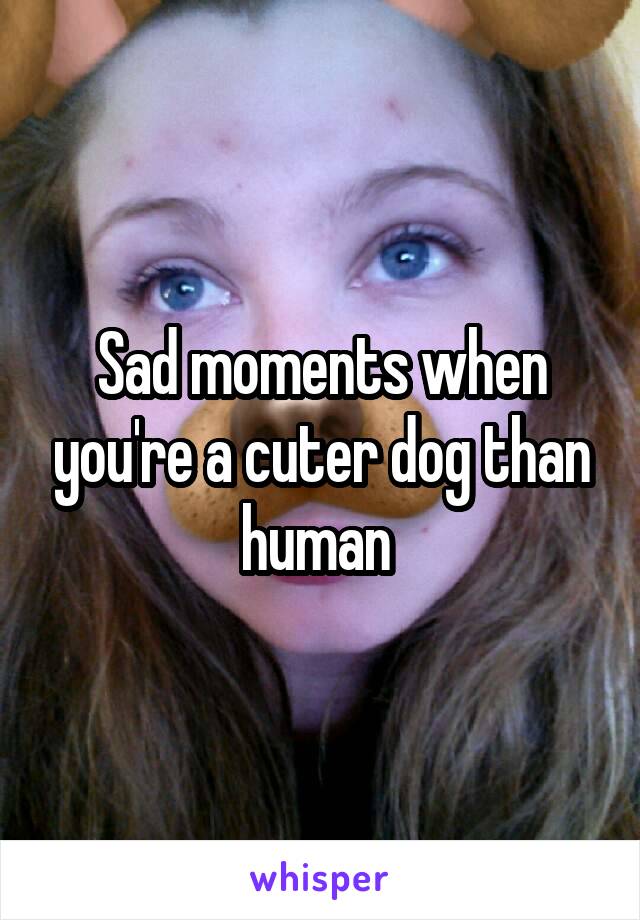 Sad moments when you're a cuter dog than human 