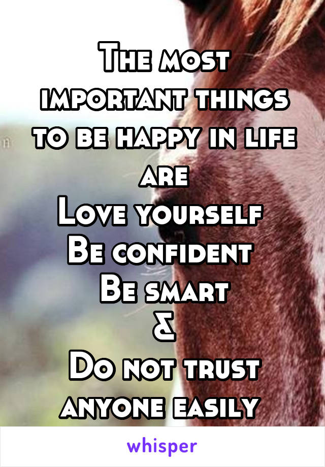 The most important things to be happy in life are
Love yourself 
Be confident 
Be smart
&
Do not trust anyone easily 