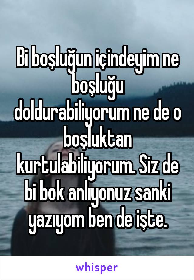 Bi boşluğun içindeyim ne boşluğu doldurabiliyorum ne de o boşluktan kurtulabiliyorum. Siz de bi bok anlıyonuz sanki yazıyom ben de işte.