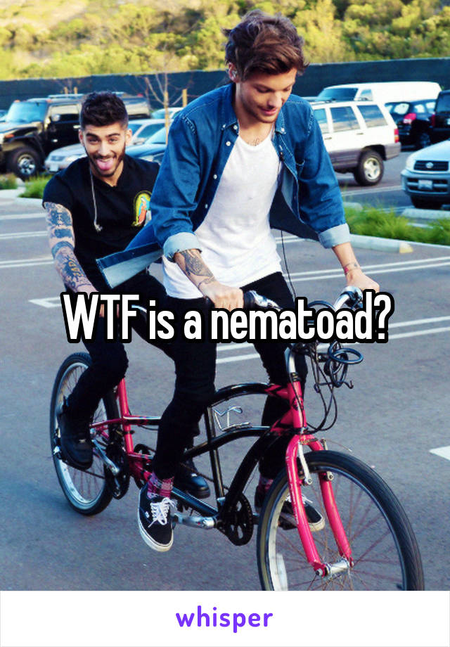 WTF is a nematoad?