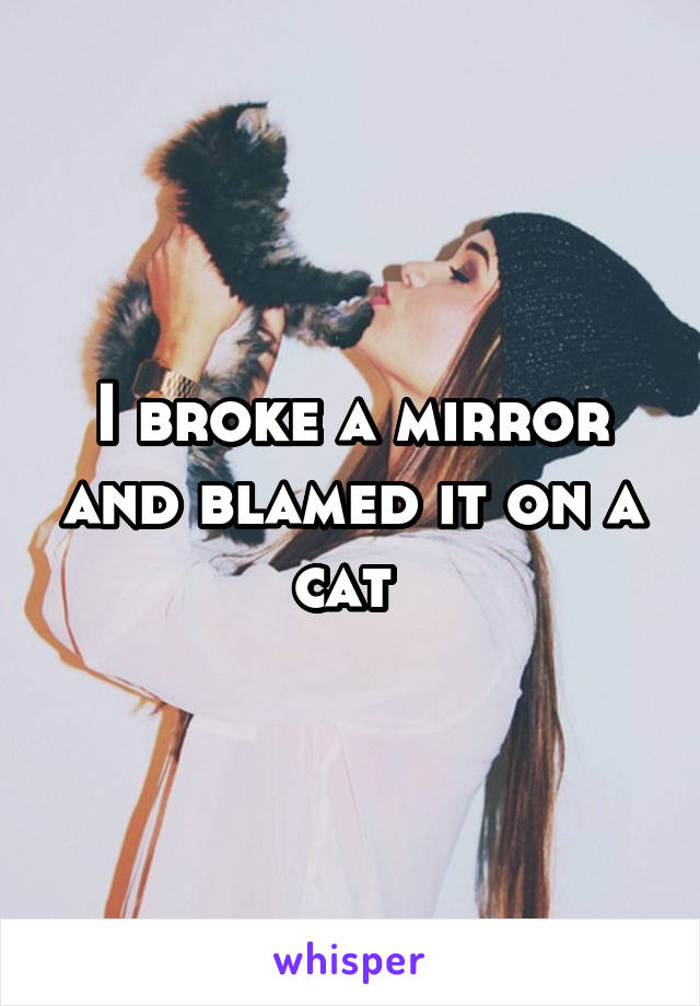 I broke a mirror and blamed it on a cat 