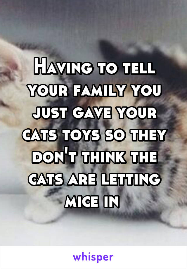 Having to tell your family you just gave your cats toys so they don't think the cats are letting mice in 