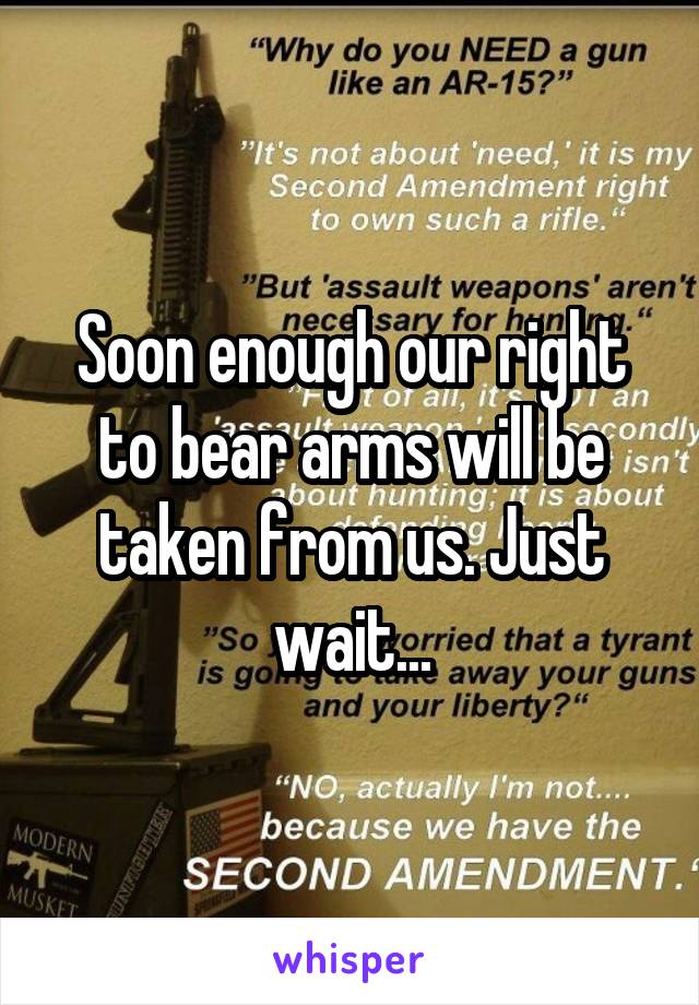 Soon enough our right to bear arms will be taken from us. Just wait...