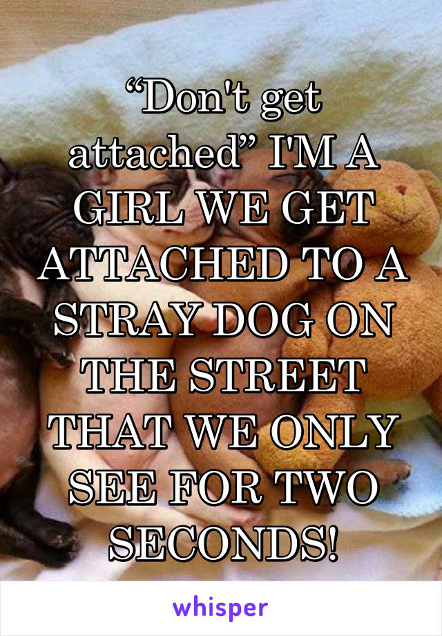 “Don't get attached” I'M A GIRL WE GET ATTACHED TO A STRAY DOG ON THE STREET THAT WE ONLY SEE FOR TWO SECONDS!