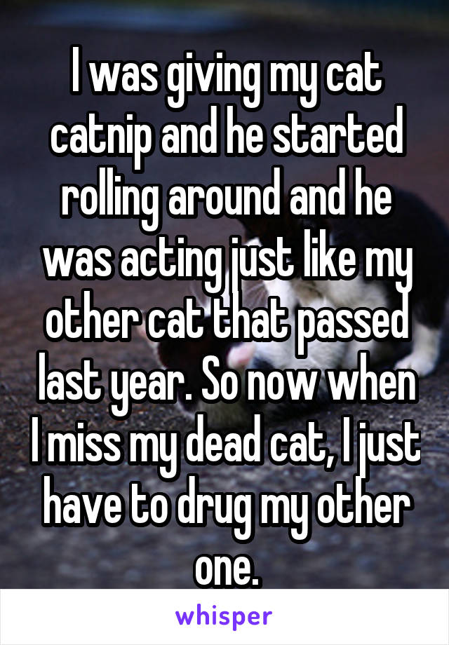 I was giving my cat catnip and he started rolling around and he was acting just like my other cat that passed last year. So now when I miss my dead cat, I just have to drug my other one.