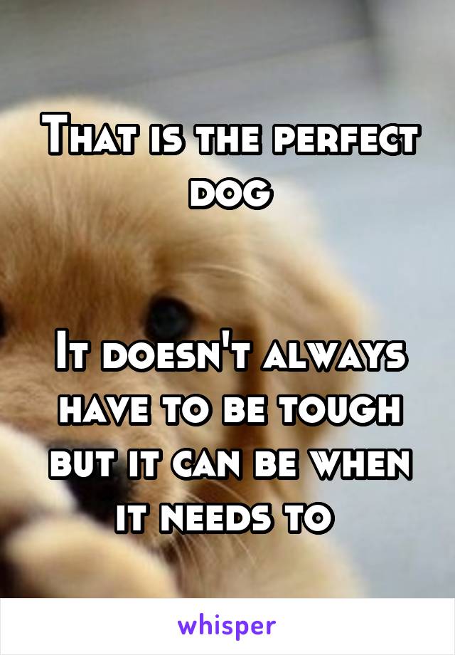 That is the perfect dog


It doesn't always have to be tough but it can be when it needs to 