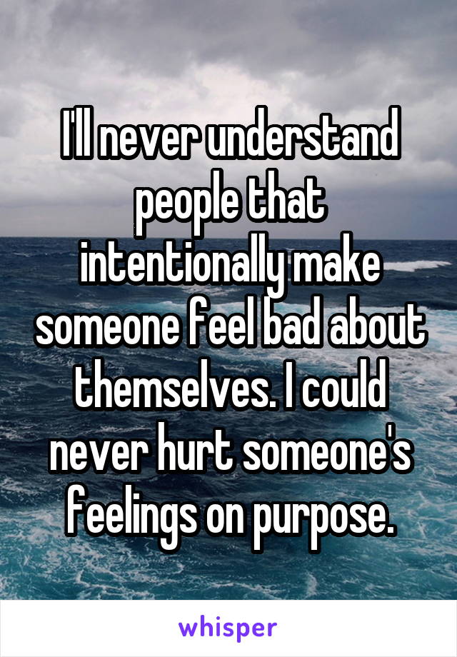 I'll never understand people that intentionally make someone feel bad about themselves. I could never hurt someone's feelings on purpose.