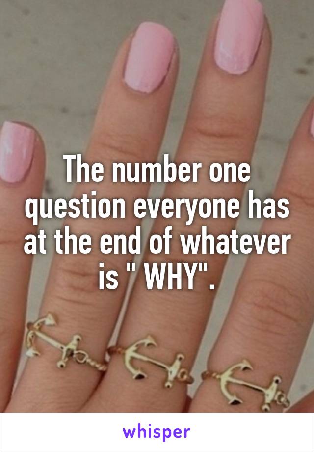 The number one question everyone has at the end of whatever is " WHY".