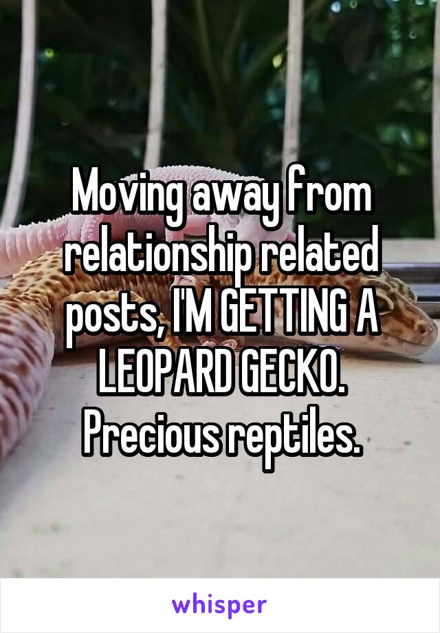 Moving away from relationship related posts, I'M GETTING A LEOPARD GECKO. Precious reptiles.