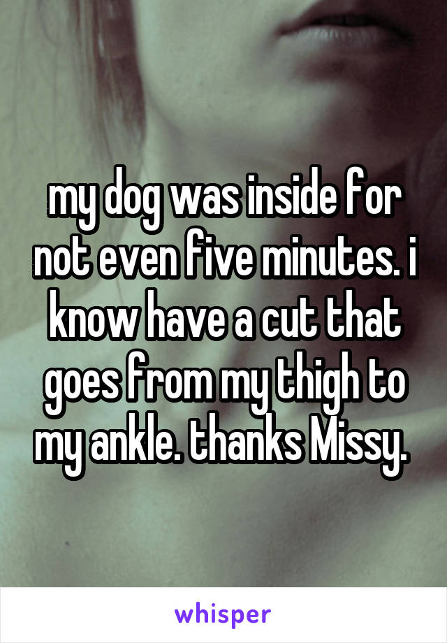 my dog was inside for not even five minutes. i know have a cut that goes from my thigh to my ankle. thanks Missy. 