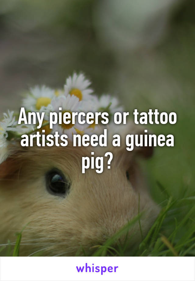 Any piercers or tattoo artists need a guinea pig?