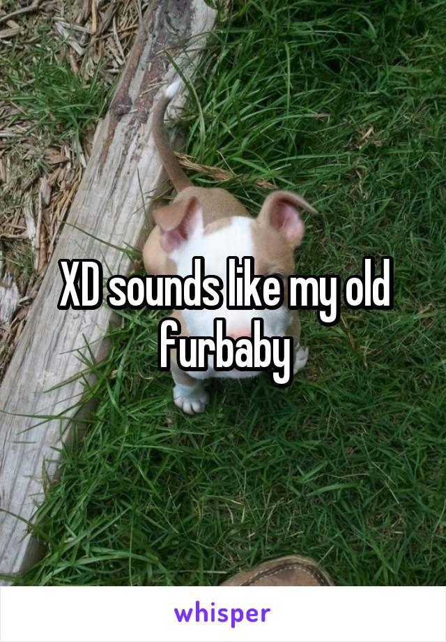 XD sounds like my old furbaby