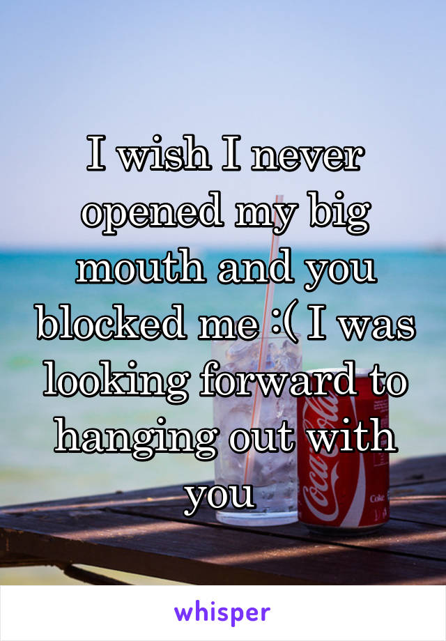 I wish I never opened my big mouth and you blocked me :( I was looking forward to hanging out with you 