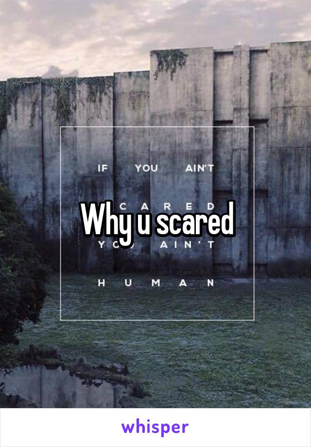 Why u scared