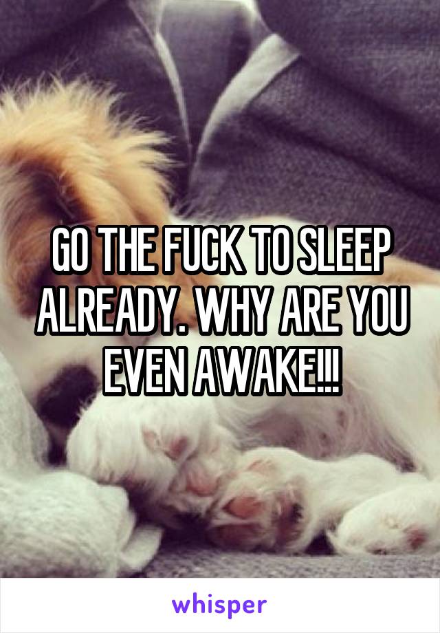 GO THE FUCK TO SLEEP ALREADY. WHY ARE YOU EVEN AWAKE!!!