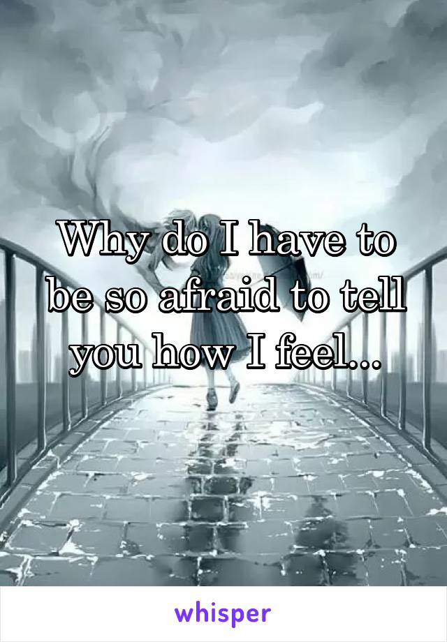 Why do I have to be so afraid to tell you how I feel...
